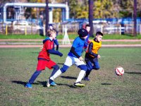 игры 10.05